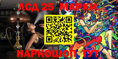 PSILOCYBIN Гатчина