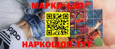 PSILOCYBIN Гатчина