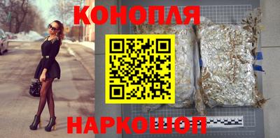 PSILOCYBIN Гатчина