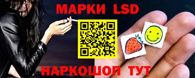 PSILOCYBIN Гатчина